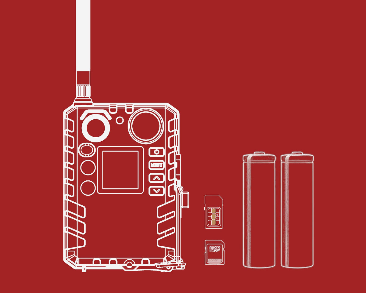 Ready to Start Pakete