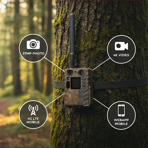 Wildkamera STREAM 4K LTE/4G