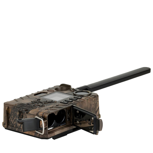 wildkamera jagd federmäuse datenschutz